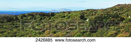 Stock Photography - Landscape of tree covered hills along the water's edge and a mountain in the distance, near Caherdaniel; County Kerry, Ireland. Fotosearch