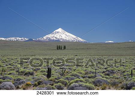 Stock Image - Lanin volcano; Neuquen Province, Argentina. Fotosearch