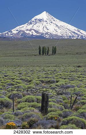 Stock Image - Lanin volcano; Neuquen Province, Argentina. Fotosearch
