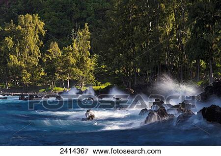 Lapahoehoe shoreline, Hamakua Coast; Island of Hawaii, Hawaii, United States of America View Large Photo Image Stock Photo - Lapahoehoe shoreline, Hamakua Coast; Island of Hawaii, Hawaii, United States of America. Fotosearch