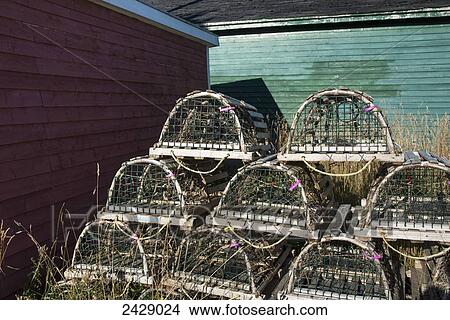 Lobster traps in a pile; Trout River, Newfoundland, Canada View Large Photo Image Picture - Lobster traps in a pile; Trout River, Newfoundland, Canada. Fotosearch