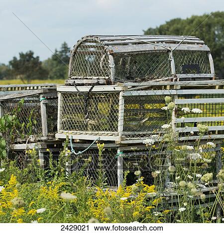 Stock Image - Lobster traps in piles with wildflowers; Victoria, Prince Edward Island, Canada. Fotosearch