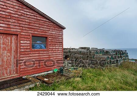 Lobster traps piled by a red, worn wooden building at the coast; Sally's Cove, Newfoundland, Canada View Large Photo Image Picture - Lobster traps piled by a red, worn wooden building at the coast; Sally's Cove, Newfoundland, Canada. Fotosearch