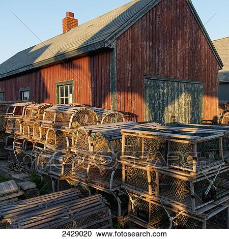 Lobster traps piled by a weathered wooden building; North Rustico, Prince Edward Island, Canada View Large Photo Image Stock Image - Lobster traps piled by a weathered wooden building; North Rustico, Prince Edward Island, Canada. Fotosearch