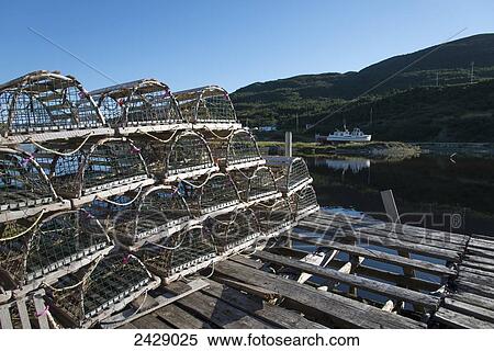 Lobster traps piled on an old wooden dock; Trout River, Newfoundland, Canada View Large Photo Image Stock Photography - Lobster traps piled on an old wooden dock; Trout River, Newfoundland, Canada. Fotosearch