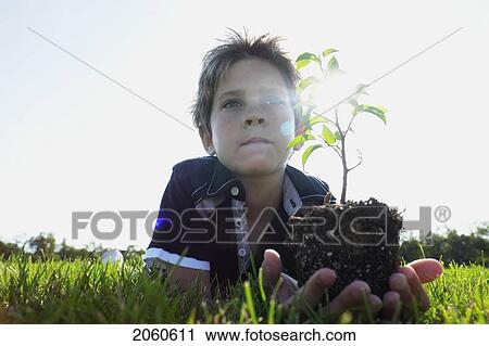 Stock Image - Low Angle 8 Year Old Boy Lying On Grass Holding Small Tree, Winnipeg, Canada. Fotosearch