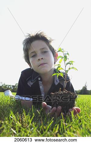 Low Angle 8 Year Old Boy Lying On Grass Holding Small Tree, Winnipeg, Canada View Large Photo Image Stock Image - Low Angle 8 Year Old Boy Lying On Grass Holding Small Tree, Winnipeg, Canada. Fotosearch