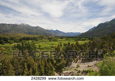 Lush foliage in a mountainous landscape, Chubut Province, Argentina View Large Photo Image Stock Photo - Lush foliage in a mountainous landscape, Chubut Province, Argentina. Fotosearch