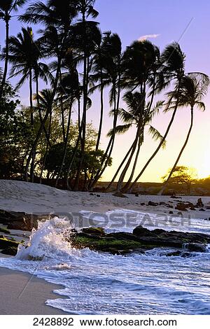 Mahaiula Beach and surf, Kona Coast; Kona, Big Island, Hawaii, United States of America View Large Photo Image Stock Image - Mahaiula Beach and surf, Kona Coast; Kona, Big Island, Hawaii, United States of America. Fotosearch