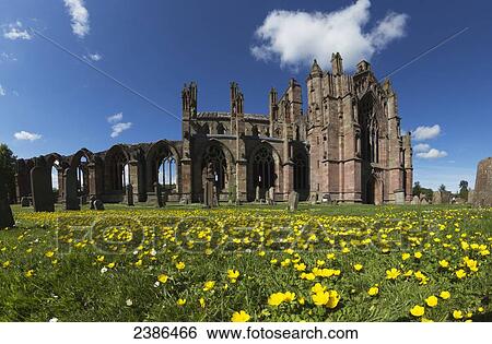 Melrose Abbey; Melrose, Scottish Borders, Scotland View Large Photo Image Stock Photograph - Melrose Abbey; Melrose, Scottish Borders, Scotland. Fotosearch