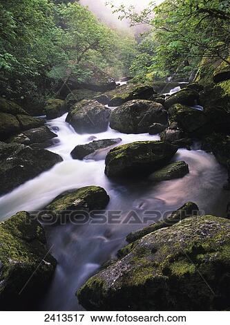 Mill Creek flows in Douglas County; Reedsport, Oregon, United States of America View Large Photo Image Stock Photo - Mill Creek flows in Douglas County; Reedsport, Oregon, United States of America. Fotosearch