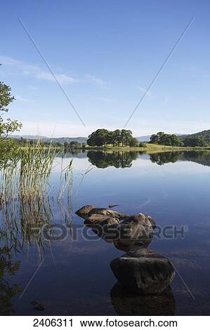 Stock Image - Mirror image of trees along a shoreline reflected in a tranquil lake; Lake District, Cumbria, England. Fotosearch