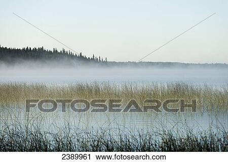 Mist covers Lake Audy on a morning at Riding Horse National Park; Manitoba, Canada View Large Photo Image Stock Image - Mist covers Lake Audy on a morning at Riding Horse National Park; Manitoba, Canada. Fotosearch