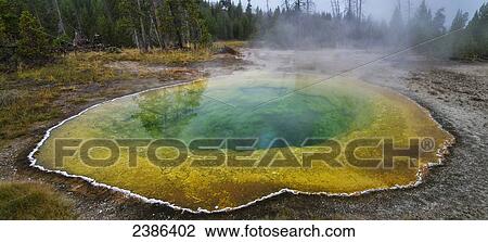 Morning Glory Pool, Upper Geyser Basin, Yellowstone National Park; Wyoming, United States of America View Large Photo Image Stock Image - Morning Glory Pool, Upper Geyser Basin, Yellowstone National Park; Wyoming, United States of America. Fotosearch