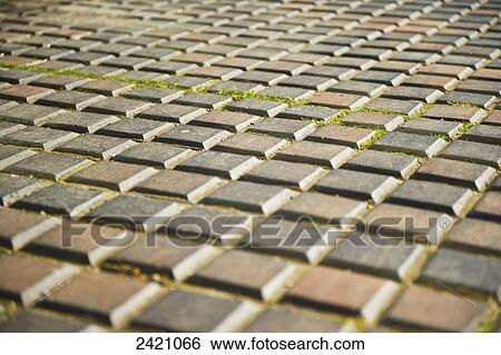 Moss growing between the paving stones; London, England View Large Photo Image Stock Photograph - Moss growing between the paving stones; London, England. Fotosearch
