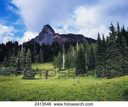 Mount Washington sits atop the Cascades; Sisters, Oregon, United States of America View Large Photo Image Stock Photograph - Mount Washington sits atop the Cascades; Sisters, Oregon, United States of America. Fotosearch
