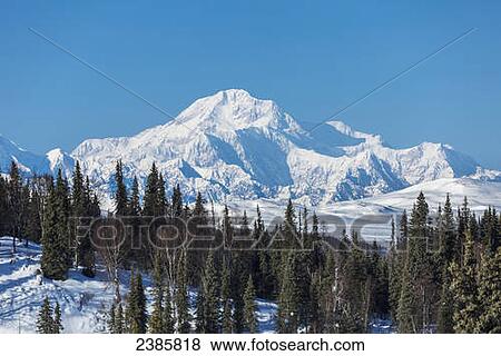 Stock Photo - Mt McKinley in winter with blue sky, seen from the Petersville road; Petersville, Alaska, United States of America. Fotosearch