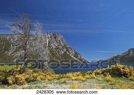 Nahuel Huapi Lake; Bariloche, Argentina View Large Photo Image Stock Photography - Nahuel Huapi Lake; Bariloche, Argentina. Fotosearch