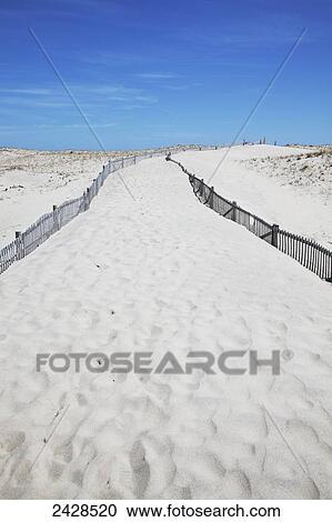 Nauset Beach with fence buried in sand; New England, Massachusetts, United States of America View Large Photo Image Stock Image - Nauset Beach with fence buried in sand; New England, Massachusetts, United States of America. Fotosearch