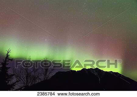 Picture - Northern Lights in the sky above Moose Pass, silhouetted Kenai Mountains and trees in the foreground, Chugach National Forest; Alaska, United States of America. Fotosearch