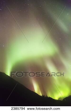 Picture - Northern Lights in the sky above Moose Pass, silhouetted Kenai Mountains and trees in the foreground, Chugach National Forest; Alaska, United States of America. Fotosearch