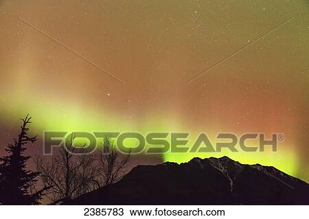 Northern Lights in the sky above Moose Pass, silhouetted Kenai Mountains and trees in the foreground, Chugach National Forest; Alaska, United States of America View Large Photo Image Stock Image - Northern Lights in the sky above Moose Pass, silhouetted Kenai Mountains and trees in the foreground, Chugach National Forest; Alaska, United States of America. Fotosearch
