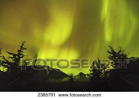Stock Image - Northern Lights in the sky above Moose Pass, silhouetted Kenai Mountains and trees in the foreground, Chugach National Forest; Alaska, United States of America. Fotosearch