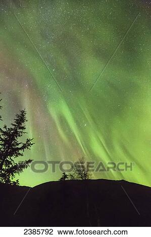 Northern Lights in the sky above Moose Pass, silhouetted Kenai Mountains and trees in the foreground, Chugach National Forest; Alaska, United States of America View Large Photo Image Stock Image - Northern Lights in the sky above Moose Pass, silhouetted Kenai Mountains and trees in the foreground, Chugach National Forest; Alaska, United States of America. Fotosearch