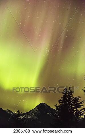 Stock Photo - Northern Lights in the sky above Moose Pass, silhouetted Kenai Mountains and trees in the foreground, Chugach National Forest; Alaska, United States of America. Fotosearch