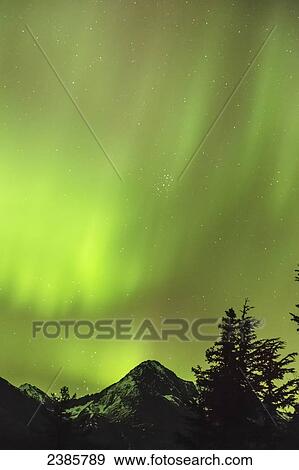 Stock Photo - Northern Lights in the sky above Moose Pass, silhouetted Kenai Mountains and trees in the foreground, Chugach National Forest; Alaska, United States of America. Fotosearch
