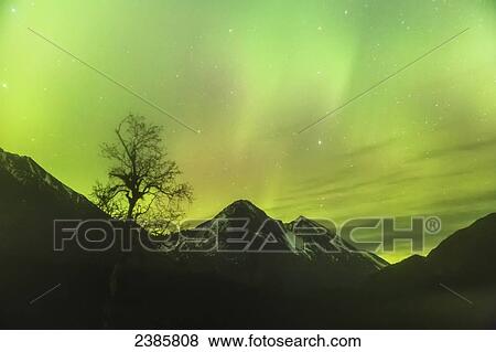 Northern Lights in the sky above Moose Pass, with silhouetted Kenai Mountains in the fog and low cloud, Chugach National Forest; Moose Pass, Alaska, United States of America View Large Photo Image Stock Photo - Northern Lights in the sky above Moose Pass, with silhouetted Kenai Mountains in the fog and low cloud, Chugach National Forest; Moose Pass, Alaska, United States of America. Fotosearch