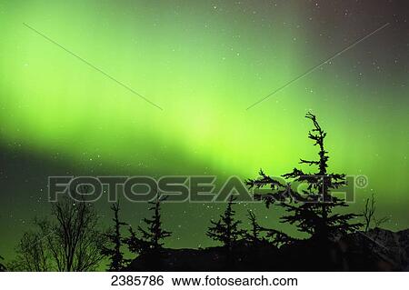 Northern Lights in the sky above Moose Pass, silhouetted Kenai Mountains and trees in the foreground, Chugach National Forest; Alaska, United States of America View Large Photo Image Stock Photograph - Northern Lights in the sky above Moose Pass, silhouetted Kenai Mountains and trees in the foreground, Chugach National Forest; Alaska, United States of America. Fotosearch