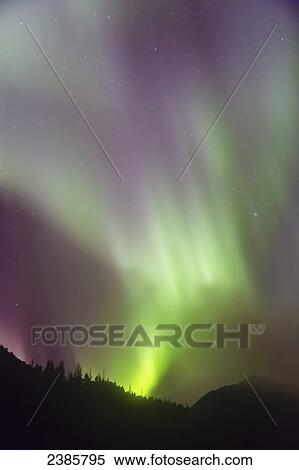 Stock Photography - Northern Lights in the sky above Moose Pass, silhouetted Kenai Mountains and trees in the foreground, Chugach National Forest; Alaska, United States of America. Fotosearch
