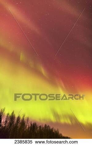 Northern Lights in the sky above the Tony Knowles Coastal Trail, Anchorage Coastal Refuge; Anchorage, Alaska, United States of America View Large Photo Image Stock Photography - Northern Lights in the sky above the Tony Knowles Coastal Trail, Anchorage Coastal Refuge; Anchorage, Alaska, United States of America. Fotosearch