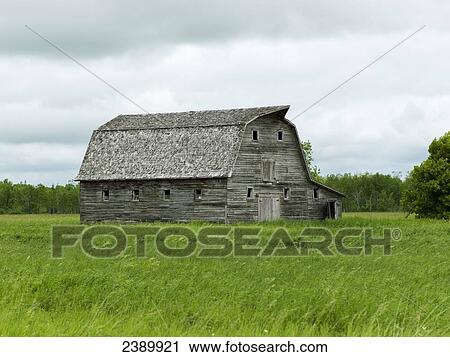 Old wooden barn in a grass field; Manitoba, Canada View Large Photo Image Stock Image - Old wooden barn in a grass field; Manitoba, Canada. Fotosearch