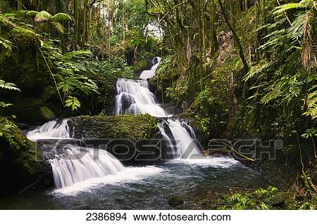 Picture - Onomea Falls; Island of Hawaii, Hawaii, United States of America. Fotosearch