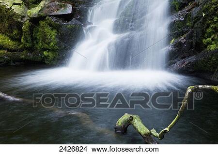 Picture - O'Sullivans Cascade, near Killarney; County Kerry, Ireland. Fotosearch