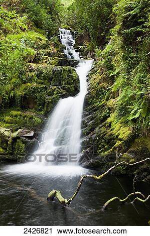O'Sullivans Cascade, near Killarney; County Kerry, Ireland View Large Photo Image Stock Image - O'Sullivans Cascade, near Killarney; County Kerry, Ireland. Fotosearch