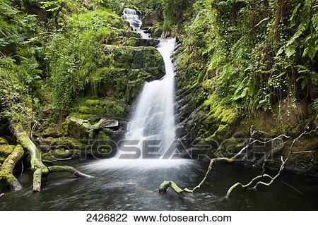 O'Sullivans Cascade, near Killarney; County Kerry, Ireland View Large Photo Image Stock Image - O'Sullivans Cascade, near Killarney; County Kerry, Ireland. Fotosearch