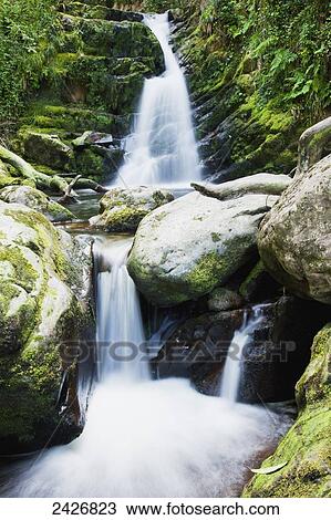 O'Sullivans Cascade, near Killarney; County Kerry, Ireland View Large Photo Image Stock Image - O'Sullivans Cascade, near Killarney; County Kerry, Ireland. Fotosearch