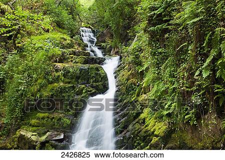 O'Sullivans Cascade, near Killarney; County Kerry, Ireland View Large Photo Image Stock Photography - O'Sullivans Cascade, near Killarney; County Kerry, Ireland. Fotosearch