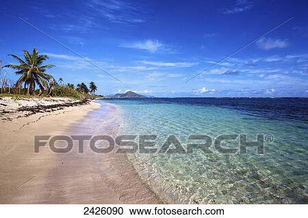 Palm trees and sand line the coastline of a caribbean island; Nesbit Beach, Nevis View Large Photo Image Stock Image - Palm trees and sand line the coastline of a caribbean island; Nesbit Beach, Nevis. Fotosearch