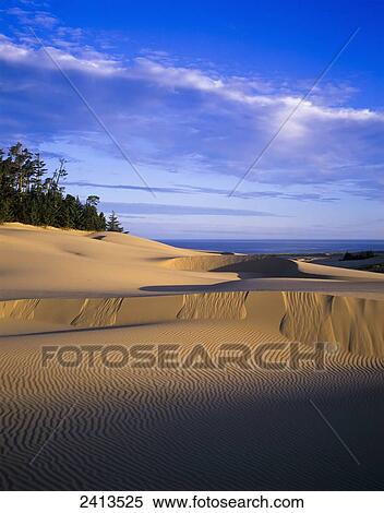 Patterns in shifting sand; Lakeside, Oregon, United States of America View Large Photo Image Stock Photography - Patterns in shifting sand; Lakeside, Oregon, United States of America. Fotosearch