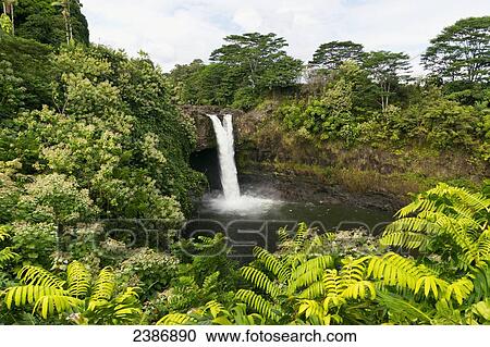 Rainbow falls; Hilo, Island of Hawaii, Hawaii, United States of America View Large Photo Image Stock Image - Rainbow falls; Hilo, Island of Hawaii, Hawaii, United States of America. Fotosearch