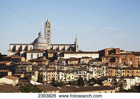 Residential buildings, Santa Maria church and the Mangia tower against a blue sky; Siena, Italy View Large Photo Image Stock Photograph - Residential buildings, Santa Maria church and the Mangia tower against a blue sky; Siena, Italy. Fotosearch
