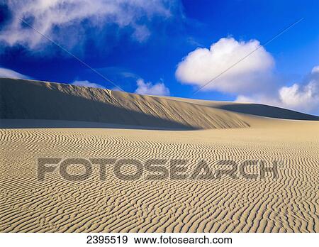 Rippled sand and dunes with blue sky and cloud; Lakeside, Oregon, United States of America View Large Photo Image Stock Photo - Rippled sand and dunes with blue sky and cloud; Lakeside, Oregon, United States of America. Fotosearch