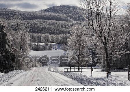 Road in winter after an ice storm; Foster, Quebec, Canada View Large Photo Image Stock Image - Road in winter after an ice storm; Foster, Quebec, Canada. Fotosearch