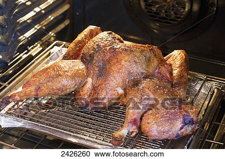 Roasted chicken on a rack in the oven; Calgary, Alberta, Canada View Large Photo Image Stock Image - Roasted chicken on a rack in the oven; Calgary, Alberta, Canada. Fotosearch