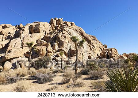Rock formations in Joshua Tree National Park; Joshua Tree, California, United States of America View Large Photo Image Stock Image - Rock formations in Joshua Tree National Park; Joshua Tree, California, United States of America. Fotosearch