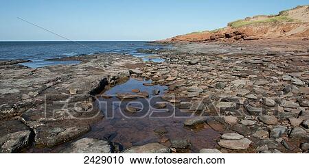 Rocks on the shore at low tide at the coast; Prince Edward Island, Canada View Large Photo Image Stock Image - Rocks on the shore at low tide at the coast; Prince Edward Island, Canada. Fotosearch